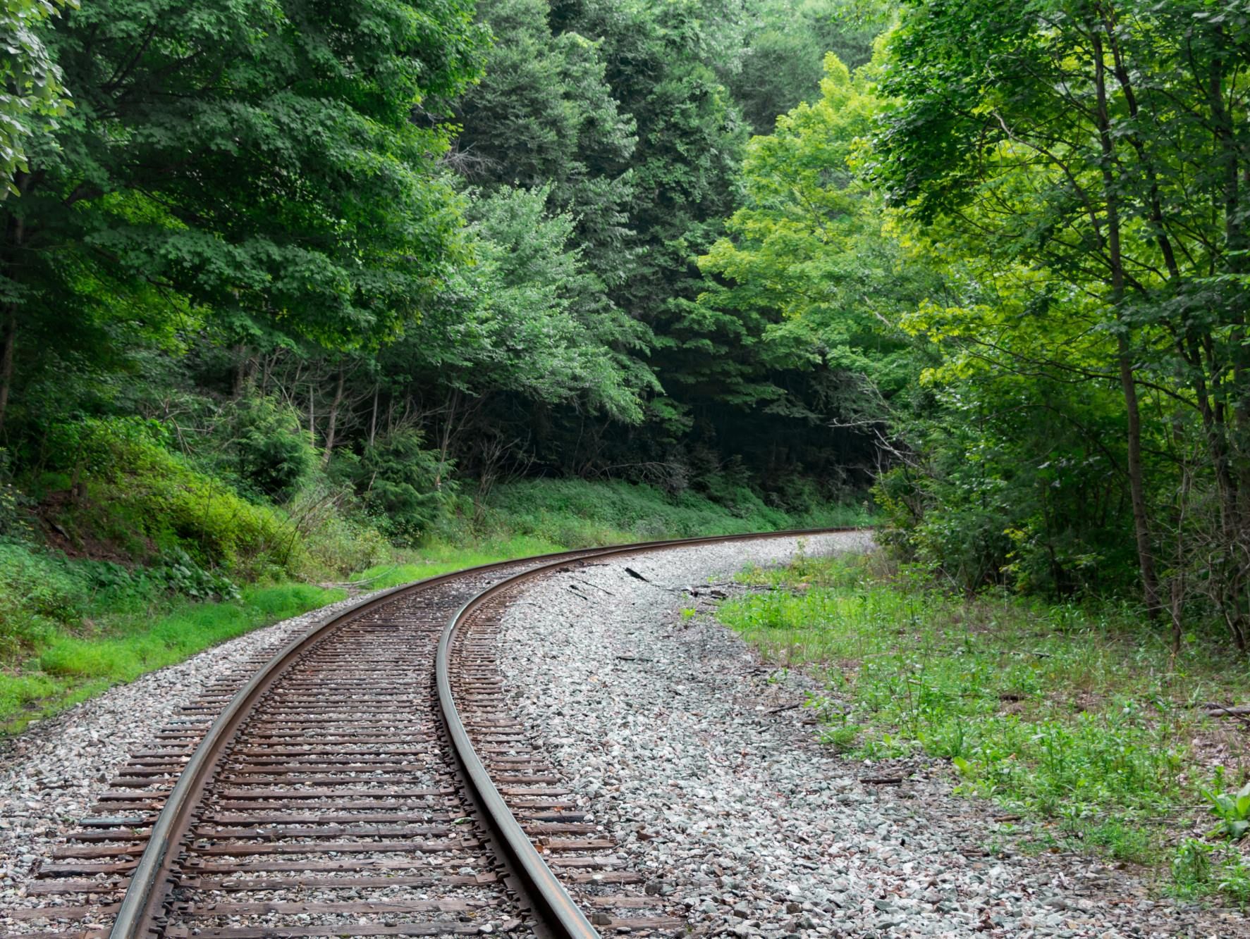 Böjt järnvägsspår löper genom tät grön skog